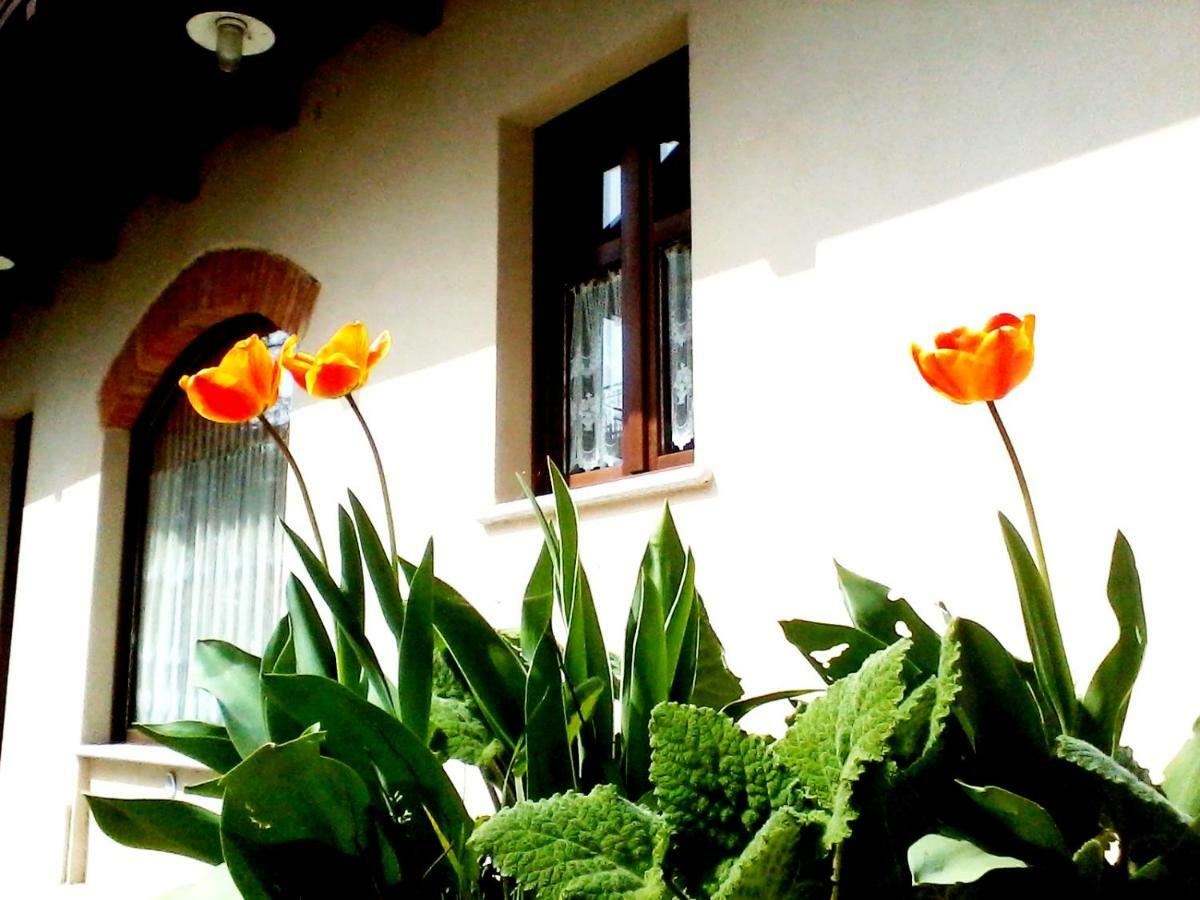 Cascina Creusa B&B Pocapaglia Extérieur photo